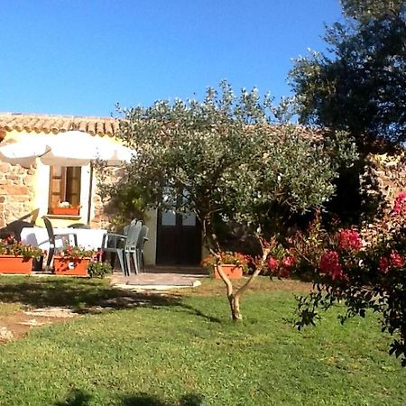 Gasthaus Agriturismo nuraghe Putzu Canu Perfugas Exterior foto