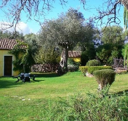 Gasthaus Agriturismo nuraghe Putzu Canu Perfugas Exterior foto