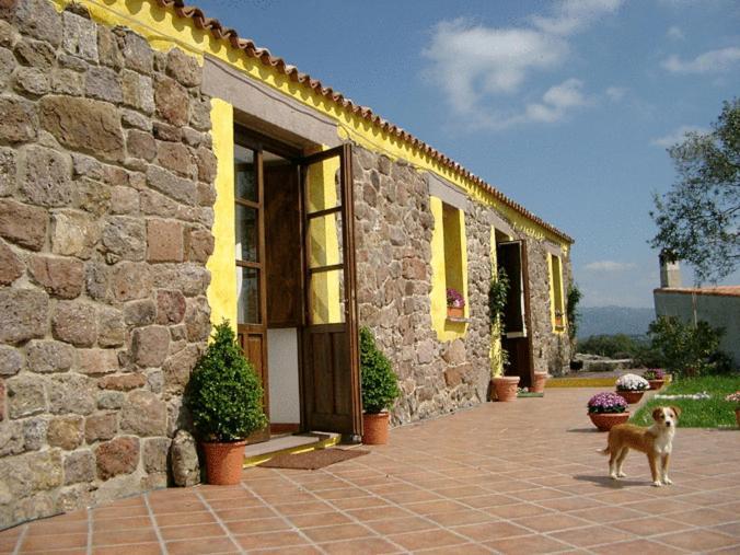 Gasthaus Agriturismo nuraghe Putzu Canu Perfugas Exterior foto